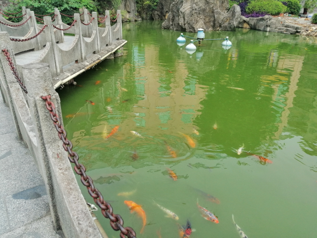 顏值與性能并存，還有AI四攝，華為麥芒7來(lái)了