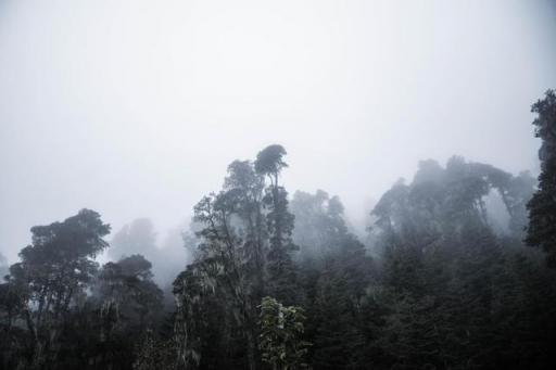 波濤？山路？風(fēng)雨兼程，麥芒無懼挑戰(zhàn)