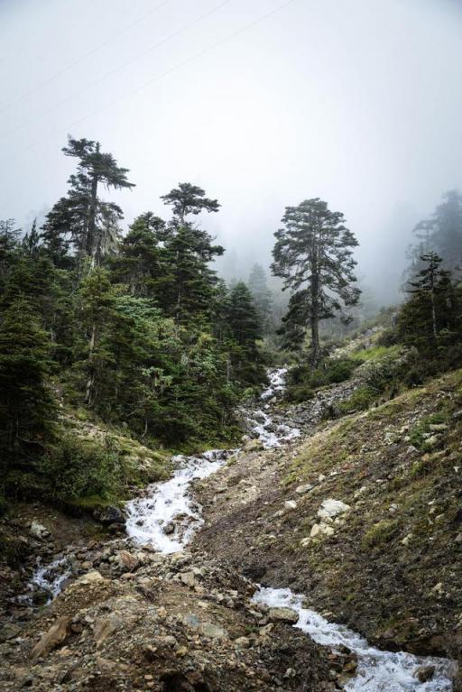 波濤？山路？風(fēng)雨兼程，麥芒無懼挑戰(zhàn)