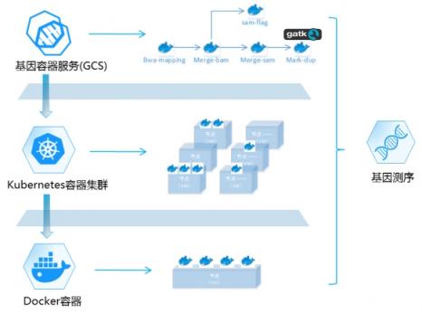 華為云全球首發(fā)基因容器 推動基因計算邁入新紀元