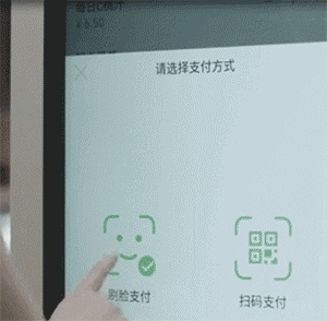二維碼支付即將被淘汰，刷臉時(shí)代來(lái)臨，刷臉支付，就用花臉！