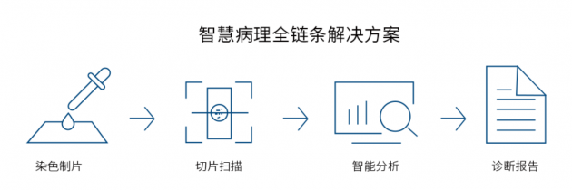 視見科技完成新一輪數(shù)千萬融資，產(chǎn)業(yè)資本助力AI病理加速落地