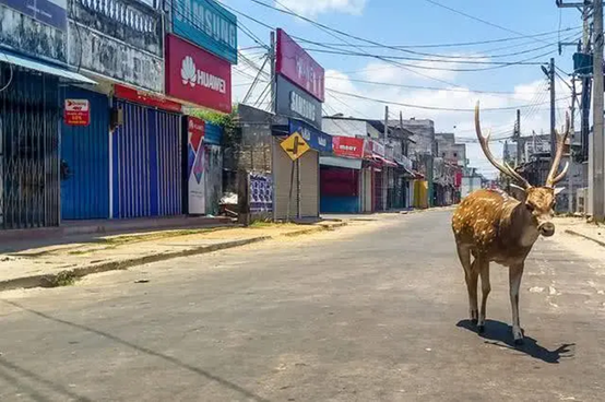 封國(guó)后的印度街道