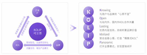 2020 KOL營銷洞察報告：可立普模式能否成為KOL營銷神器？