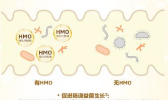 合生元HMO配方奶粉三大強(qiáng)化配方組合，建造更穩(wěn)定的成長(zhǎng)壁壘