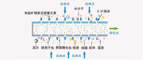 專(zhuān)業(yè)揭秘凈水器哪個(gè)好？品牌＆濾芯才是關(guān)鍵