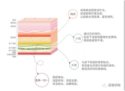 “醫(yī)美之王”愛美客，能否超越600億華熙生物?