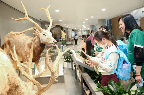 恒隆集團慶祝成立60周年，內(nèi)地九城及香港義工活動惠及4500人