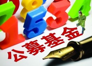 嘉實(shí)基金多只產(chǎn)品凈值翻倍，公募基金長(zhǎng)期賺錢效應(yīng)凸顯