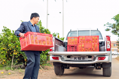 民生車典范，揭秘風(fēng)駿5受歡迎原因