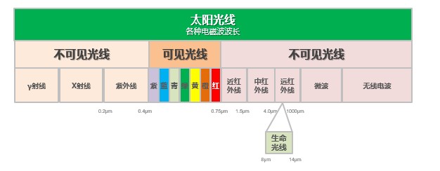 遠(yuǎn)紅外電飯煲成為新趨勢，蘇泊爾推動行業(yè)升級