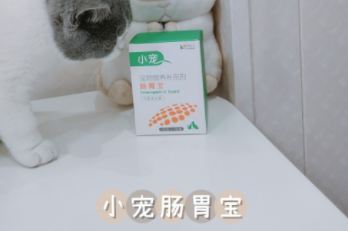 小寵腸胃寶｜如何擁有身體健壯的貓咪