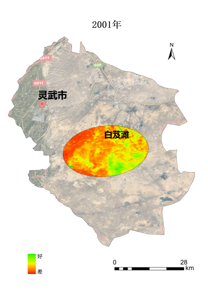 植樹節(jié)添新綠，平安科技展示“百萬植樹計劃”階段性成果