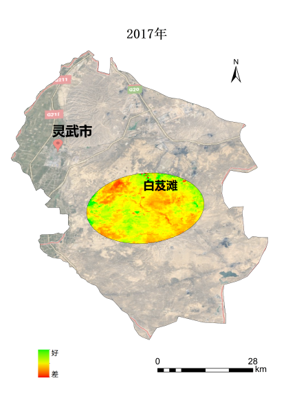 植樹節(jié)添新綠，平安科技展示“百萬植樹計劃”階段性成果