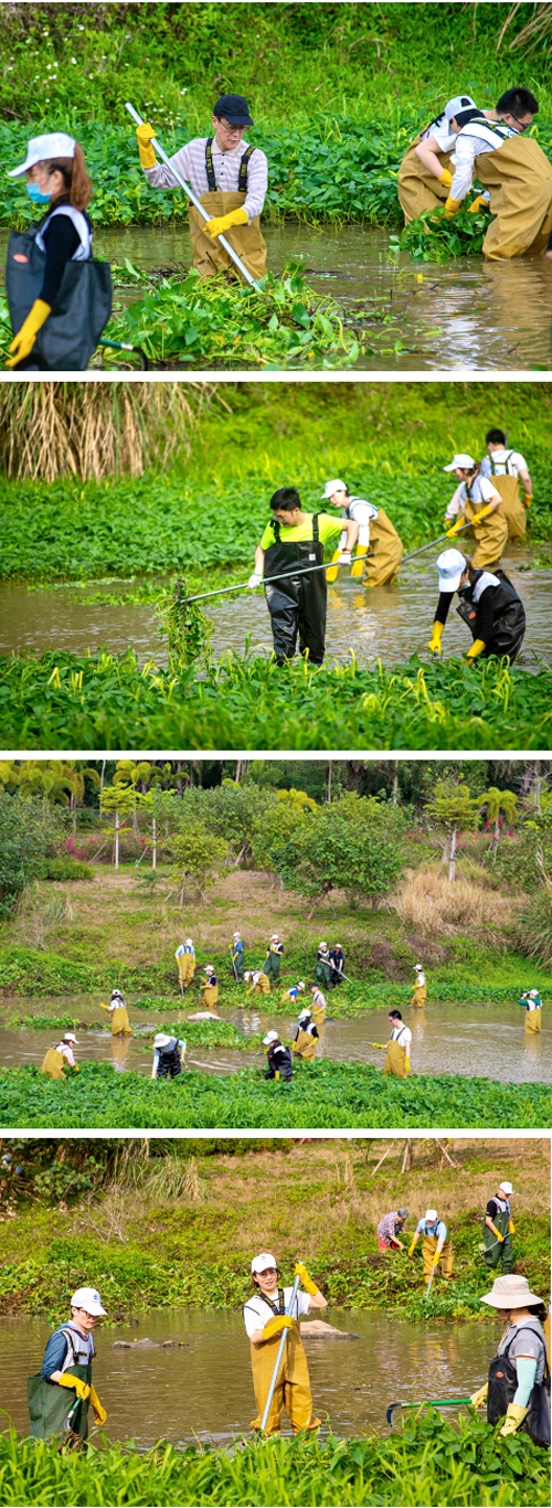 2021柯尼卡美能達蔚藍海洋公益行“柯”護藍色星球