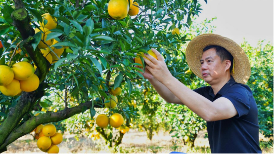 俠之大者 為國為民 長城皮卡就是這樣的民族品牌