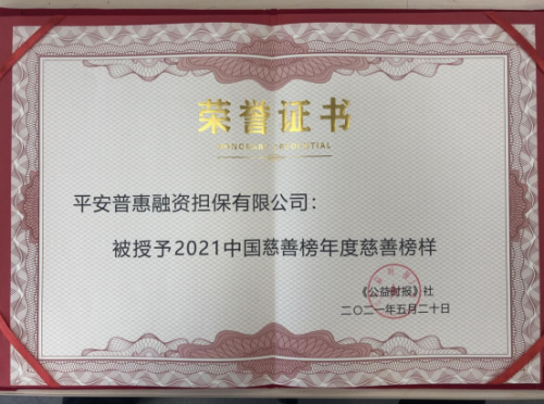 多角度、深層次履行社會(huì)責(zé)任，平安普惠榮獲“年度慈善榜樣”