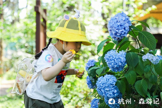 讓教育更有意義！大力智能把課堂搬進了大自然