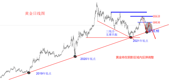 金十訪談間：7月22日領(lǐng)峰里昂老師，聚焦歐美縮表！