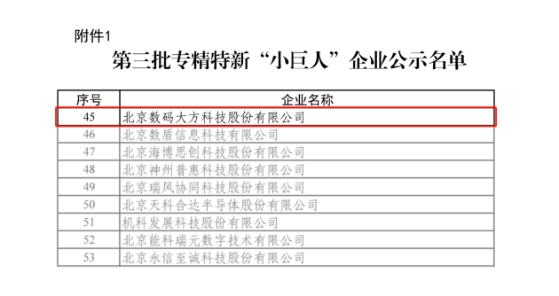 國家級！數(shù)碼大方入選工信部專精特新“小巨人”企業(yè)