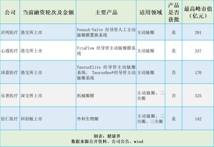 捍宇醫(yī)療“沖浪”TMVR黃金賽道，174億美元規(guī)模群雄逐鹿