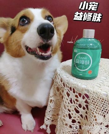 怕狗狗脫毛啦！我的小寵益修膚使用心得