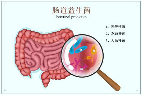 這么多益生菌品牌，選哪個牌子好