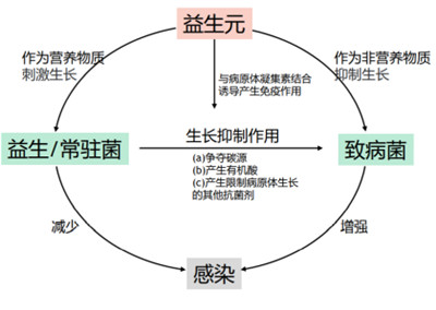 微生態(tài)護膚時代來臨 華熙生物化妝品級原料新品Biobloom?出擊新賽道