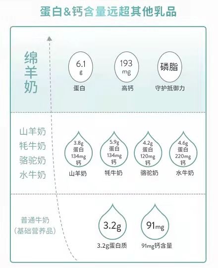 Spring Sheep?春綿?榮獲農(nóng)牧企業(yè)最快增長Top1，高端綿羊奶引領(lǐng)世界乳品新未來！