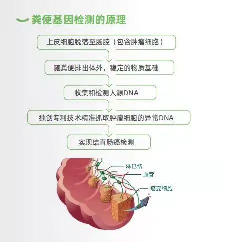 專家呼吁群眾重視腸道健康 康立明生物“ 長安心”助力腸癌早篩