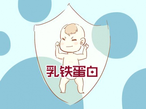 ?乳鐵蛋白奶粉哪個(gè)品牌好？這款荷蘭奶粉受到“皇家”認(rèn)可！