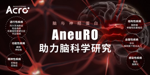 ACROBiosystems百普賽斯推出AneuRO腦與神經(jīng)蛋白，助力加速腦科學(xué)研究