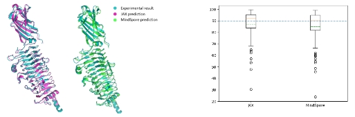 昇思MindSpore再突破：蛋白質(zhì)結(jié)構(gòu)預測訓練推理全流程開源，助力生物醫(yī)藥發(fā)展