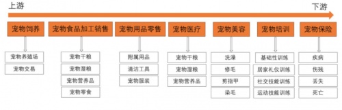 私域運(yùn)營專家探馬SCRM助力寵物行業(yè)構(gòu)建私域運(yùn)營，實(shí)現(xiàn)用戶增長