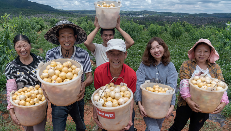 2024中國農(nóng)產(chǎn)品電商發(fā)展報告發(fā)布，拼多多從人與技術(shù)入手培育新質(zhì)生產(chǎn)力.jpg