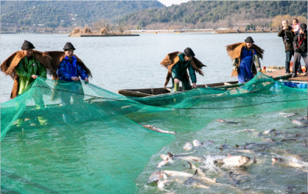 浙江阿拉丁控股集團響應環(huán)境保護政策，助力湘湖年魚節(jié)