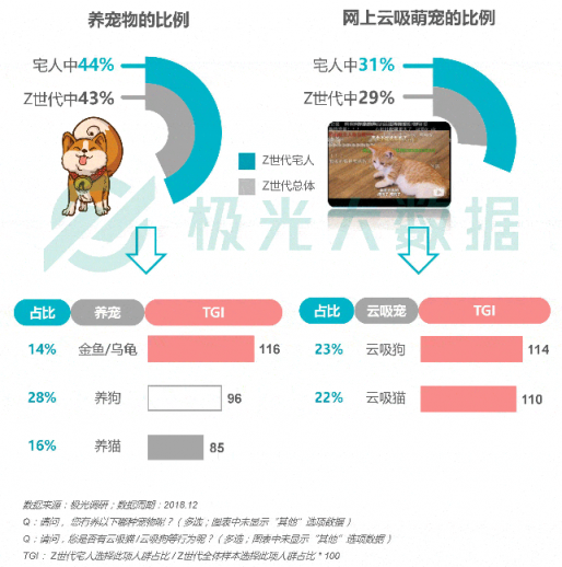 極光大數(shù)據(jù)：Z世代宅人面面觀，興趣之上、執(zhí)著專一