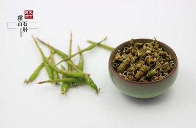 天下澤雨：不斷加大科研投入，為消費者創(chuàng)造更好體驗