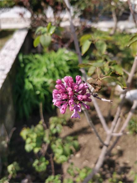 外媒Mashable評(píng)測(cè)華為P30 Pro：迄今最好的拍照手機(jī)，沒(méi)有之一！