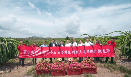 越南火龍果的20分鐘旅程，蘇寧快消實(shí)地見證