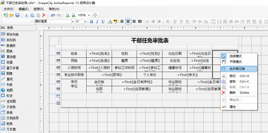 驚艷不止于顏值！報(bào)表控件ActiveReports V13.1 正式發(fā)布