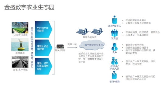 技術(shù)驅(qū)動革新，域乎為數(shù)字農(nóng)業(yè)注入強心劑