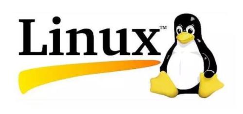 感受開源之美，共享 Linux 的安全與便捷