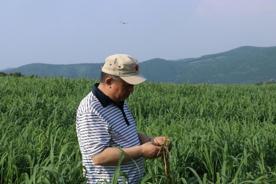 紅星乳業(yè)鄭俊懷:有機(jī)全產(chǎn)業(yè)鏈誕生,國乳向高品質(zhì)邁進(jìn)