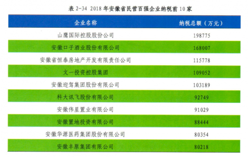 人工智能成經(jīng)濟(jì)增長內(nèi)驅(qū)力 2018年科大訊飛納稅額近10億