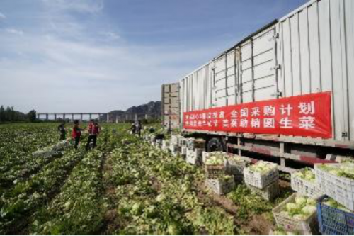 美菜網(wǎng)加速推進(jìn)縣域合伙人制度，助力鄉(xiāng)村振興