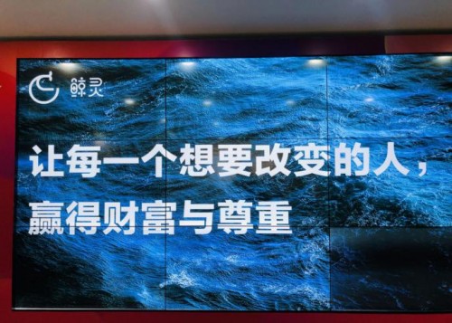 入職甩甩寶寶第一天公司居然要她招募5萬驗貨官