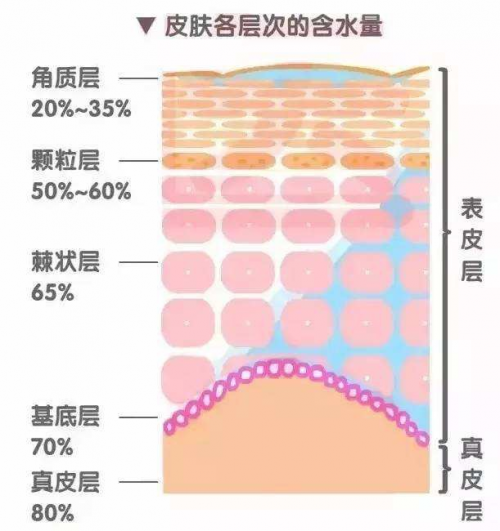 干皮如何補水？正確補水方式讓你度過干燥春季