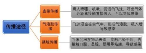 b-MOLA魚仔空氣凈化器：警惕！無癥狀感染者也可成為傳染源