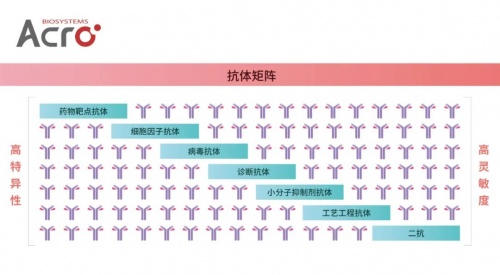 ACROBiosystems百普賽斯抗體矩陣再添新IFN-γ，助力加速生物藥研發(fā)上市進(jìn)程